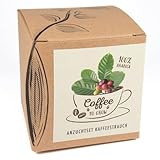 Geschenk-Anzuchtset 'Coffee-to-grow', Kaffeestrauch aus Eigenanbau, Inklusive Kokostopf und...