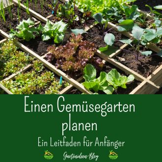 Einen Gemüsegarten planen - Ein Leitfaden für Anfänger