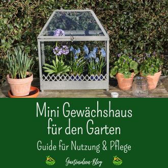 Mini Gewächshaus für den Garten - Guide für Nutzung und Pflege